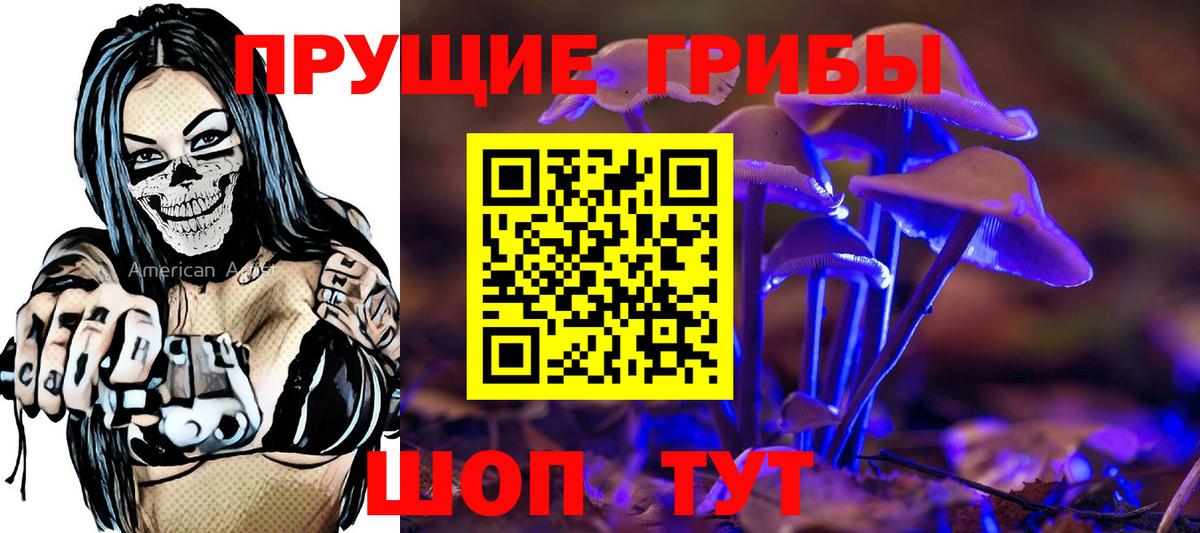 Галлюциногенные грибы Psilocybe Красноармейск